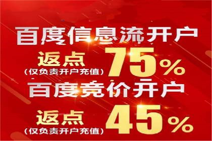 SEM优化策略：案例解读成功之道